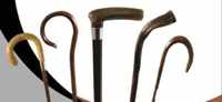 Walking Sticks